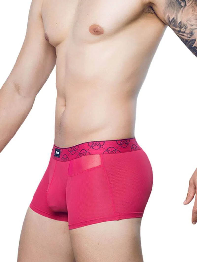2eros Himeros Trunk: Sheer Mesh Panels + CURV Lifting Pouch - Image 3