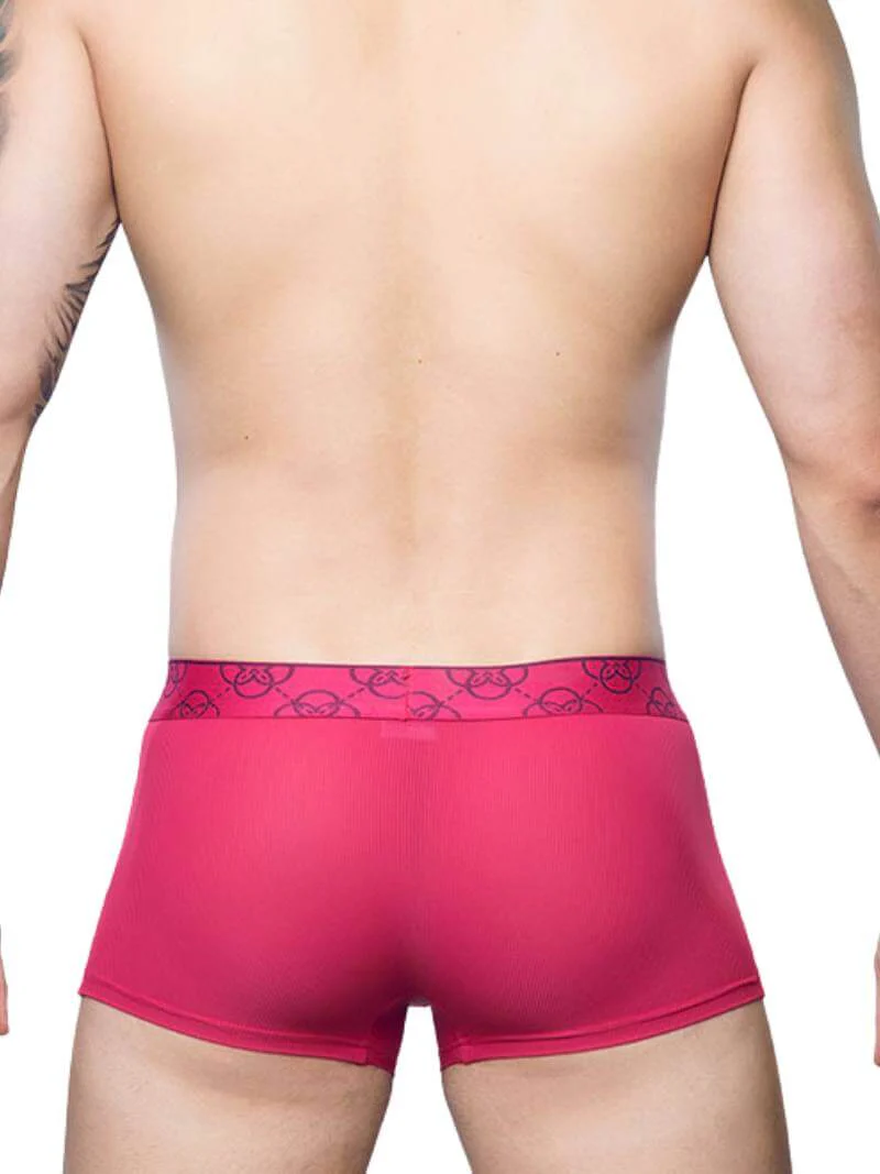2eros Himeros Trunk: Sheer Mesh Panels + CURV Lifting Pouch - Image 4