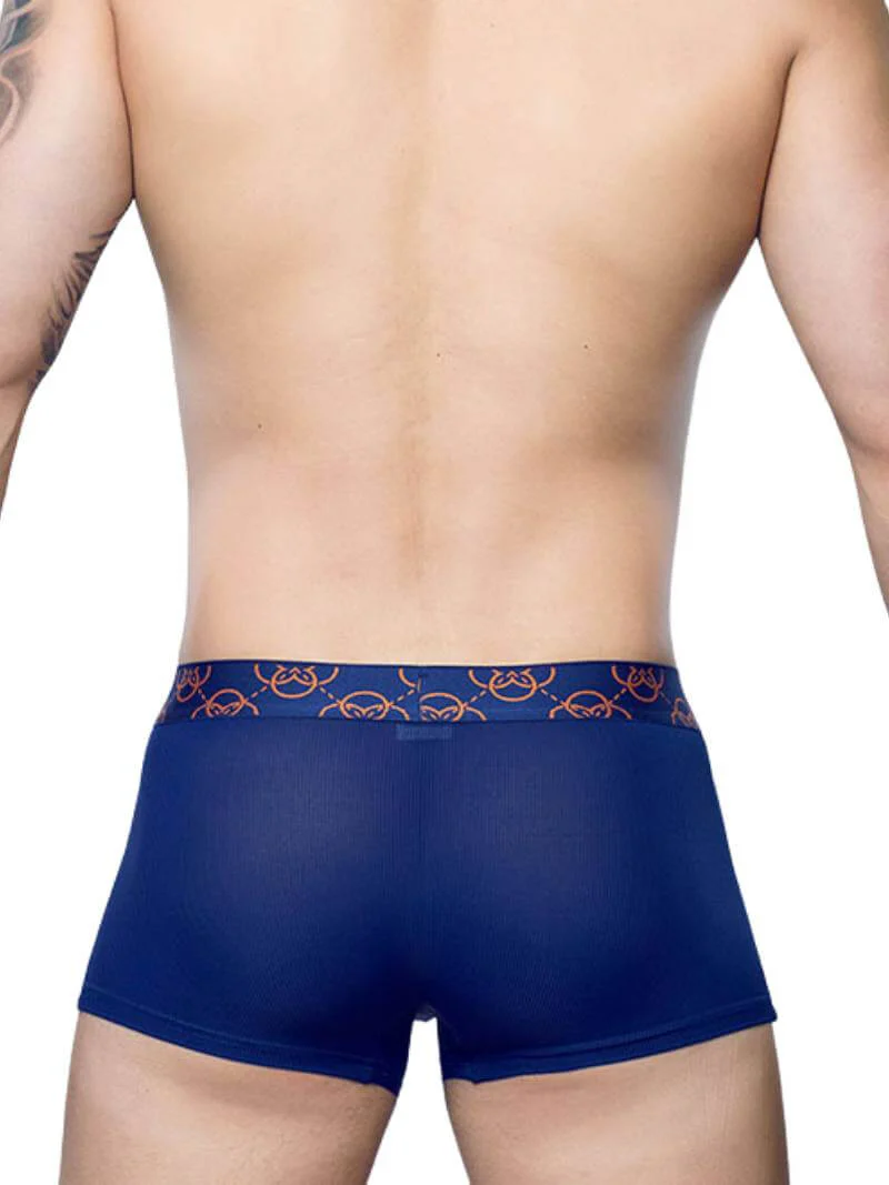 2eros Himeros Trunk: Sheer Mesh Panels + CURV Lifting Pouch - Image 7