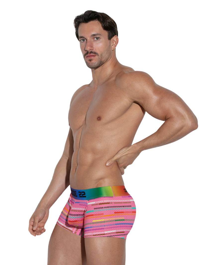 CODE 22 Pride Striped Mesh Trunk - Image 7