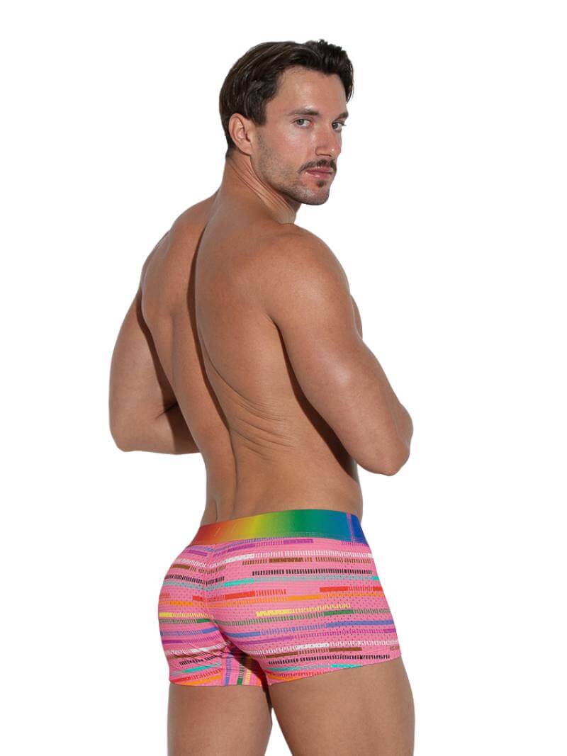CODE 22 Pride Striped Mesh Trunk - Image 8