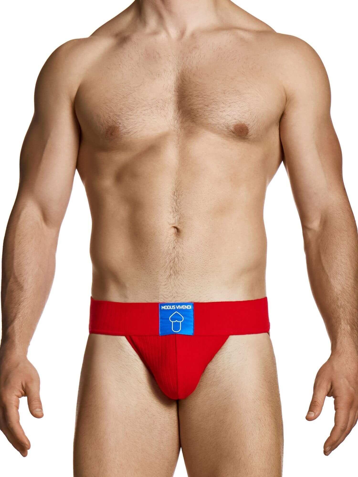 MODUS VIVENDI Heritage Ultra Jockstrap - Image 6
