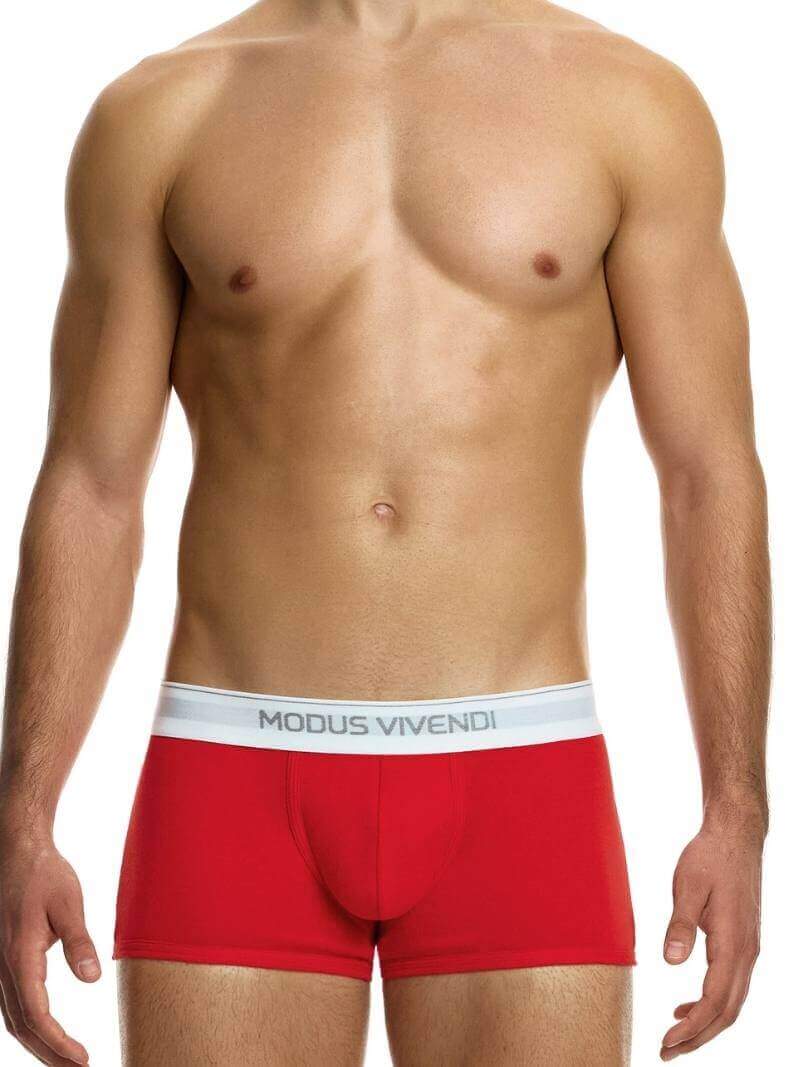MODUS VIVENDI Staple Eco-Cotton Boxer - SIZES XL, 2XL - Image 2
