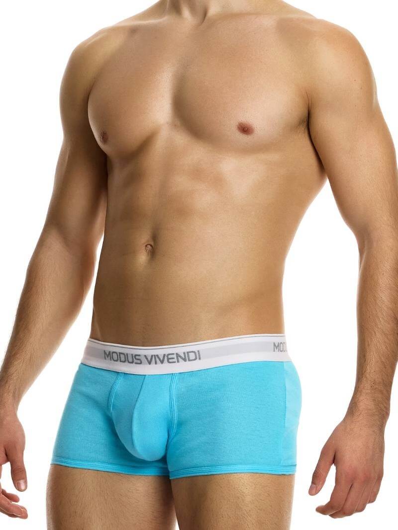 MODUS VIVENDI Staple Eco-Cotton Boxer - SIZES XL, 2XL - Image 5