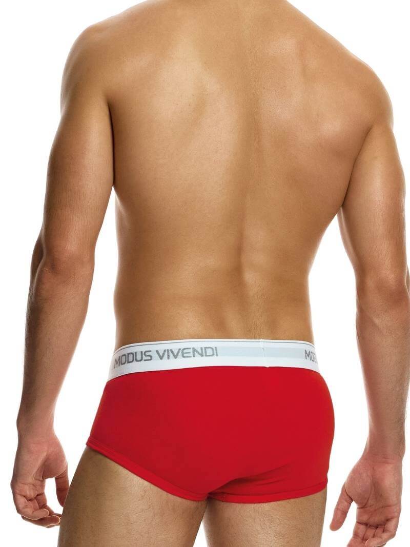 MODUS VIVENDI Staple Eco-Cotton Fly Brief: SIZES XL, 2XL - Image 11
