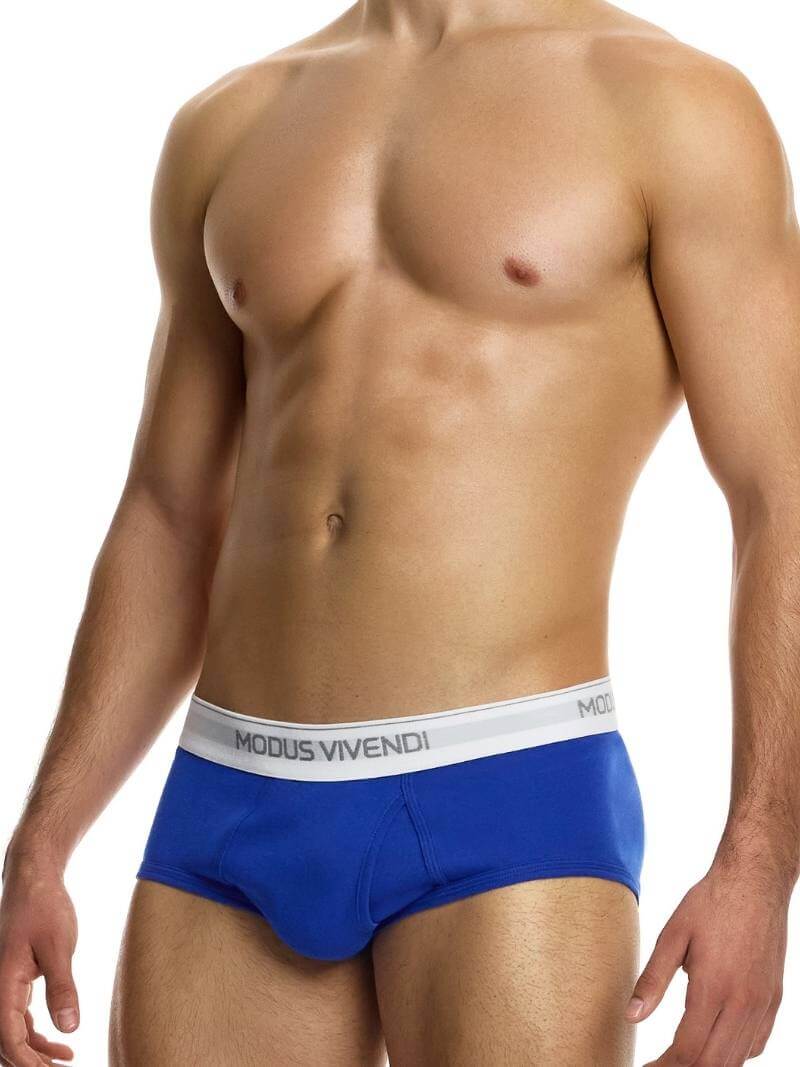 MODUS VIVENDI Staple Eco-Cotton Fly Brief: SIZES XL, 2XL - Image 12